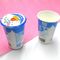 아이스크림을 위한 인쇄된 생물 분해성 서류상 요구르트 컵 처분할 수 있는 4oz 6oz